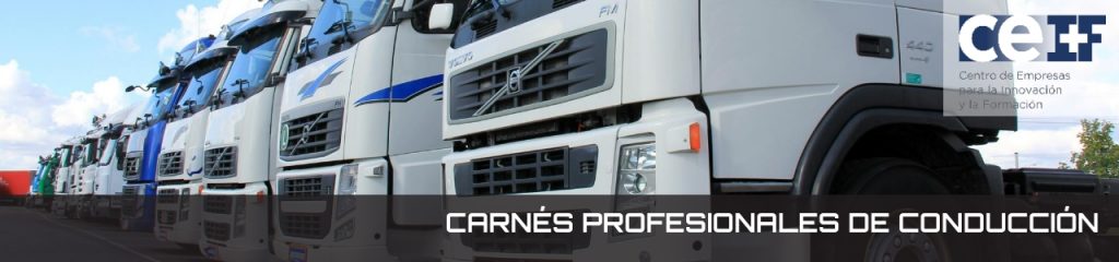 carnés profesionales de conducción