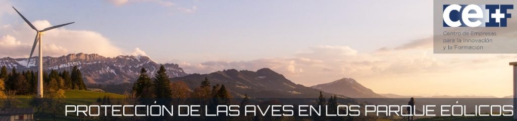 Nueva tecnología que protege a las aves en los parque eólicos