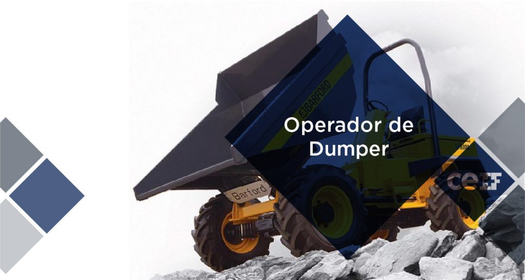 Operador de Dumper