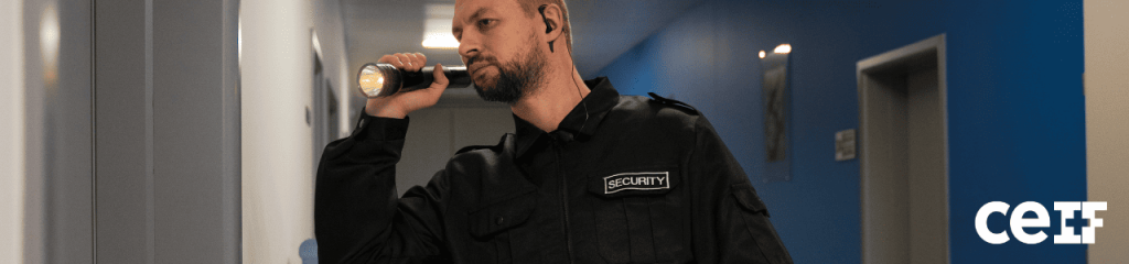 vigilante de seguridad