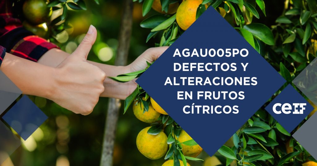Defectos alteraciones frutos cítricos